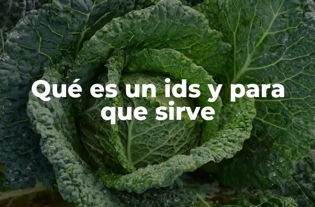 Qué es un Ids y para que Sirve