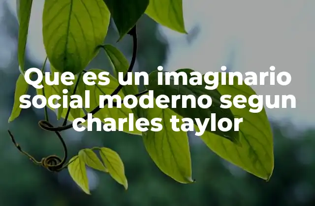 Que es un Imaginario Social Moderno Segun Charles Taylor