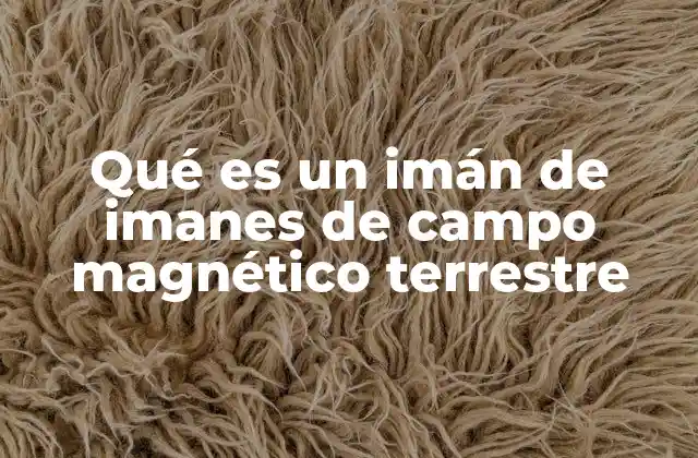 La relación entre el magnetismo y la Tierra