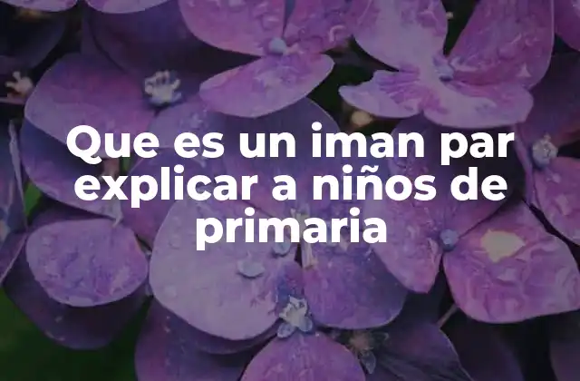 Que es un Iman Par Explicar a Niños de Primaria
