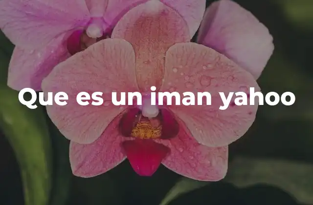 Que es un Iman Yahoo