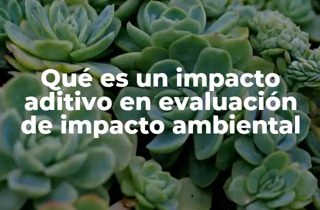 Qué es un Impacto Aditivo en Evaluación de Impacto Ambiental
