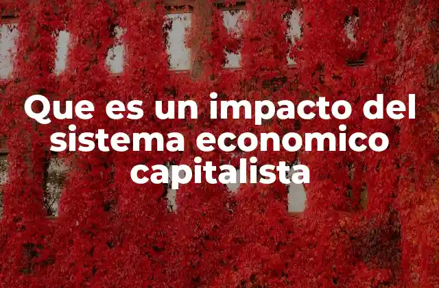 Que es un Impacto Del Sistema Economico Capitalista