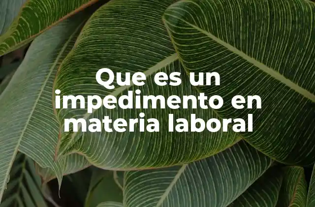 Que es un Impedimento en Materia Laboral