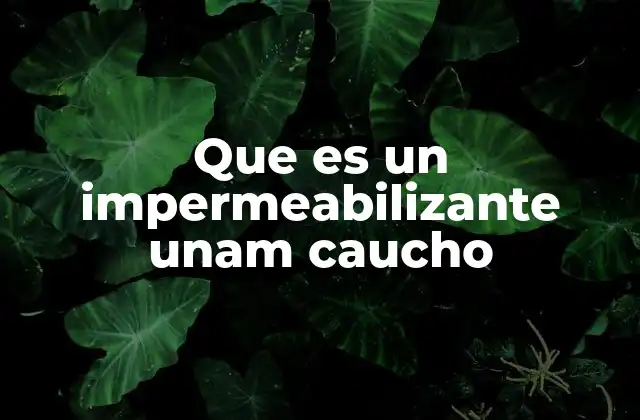 Que es un Impermeabilizante Unam Caucho 2 Características y componentes del impermeabilizante UNAM caucho