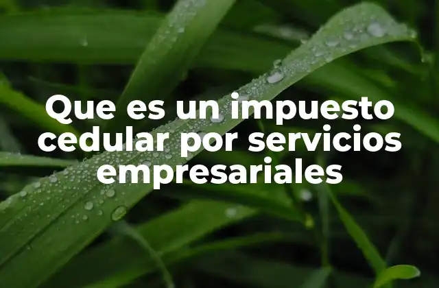Que es un Impuesto Cedular por Servicios Empresariales