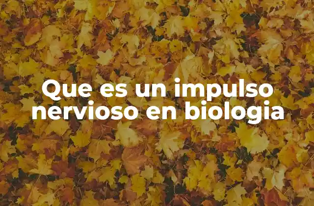 Que es un Impulso Nervioso en Biologia