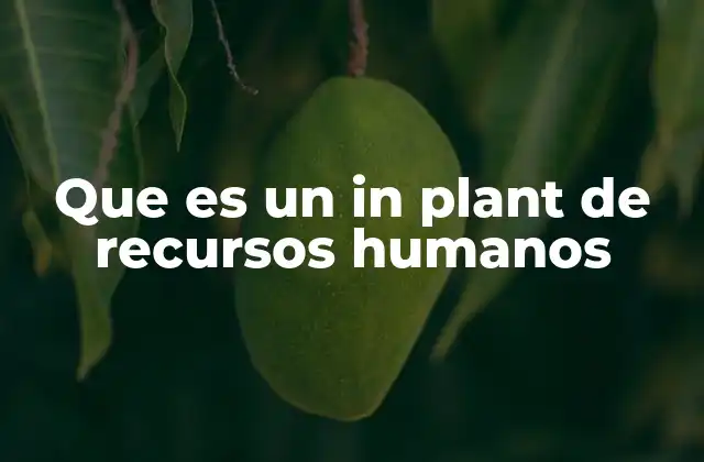 Que es un In Plant de Recursos Humanos