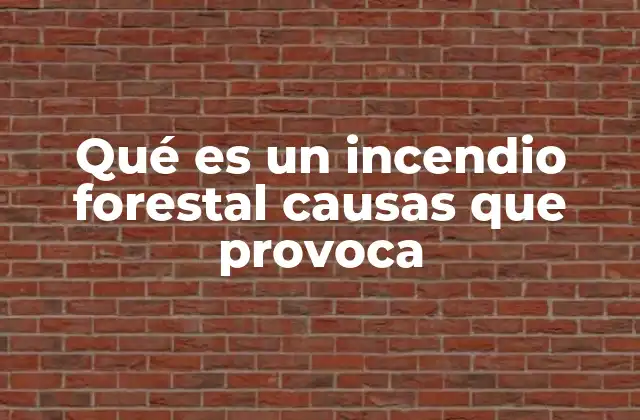 Qué es un Incendio Forestal Causas que Provoca