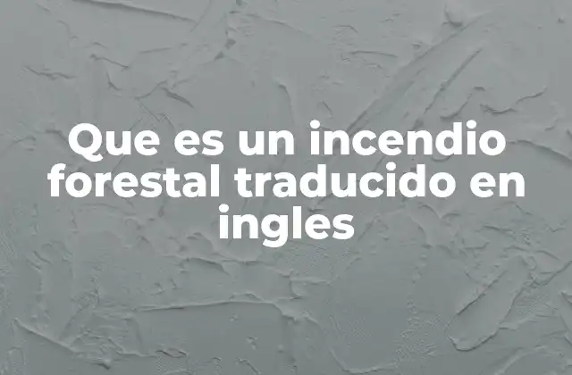 Que es un Incendio Forestal Traducido en Ingles
