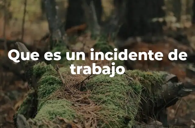 Que es un Incidente de Trabajo
