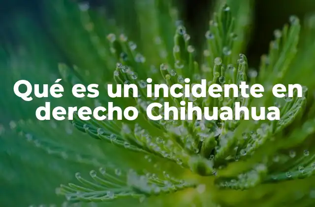 Qué es un Incidente en Derecho Chihuahua