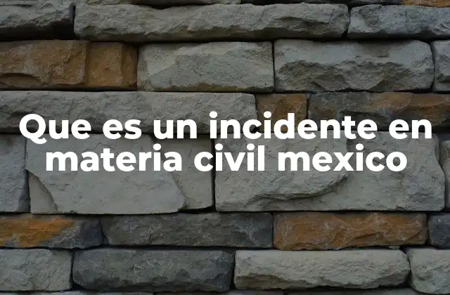 Que es un Incidente en Materia Civil Mexico