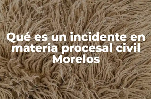 Qué es un Incidente en Materia Procesal Civil Morelos