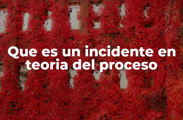 Que es un Incidente en Teoria Del Proceso