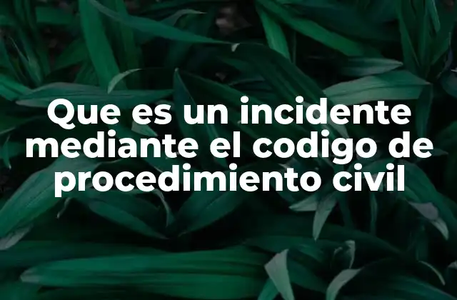 El papel de los incidentes en la estructura procesal civil