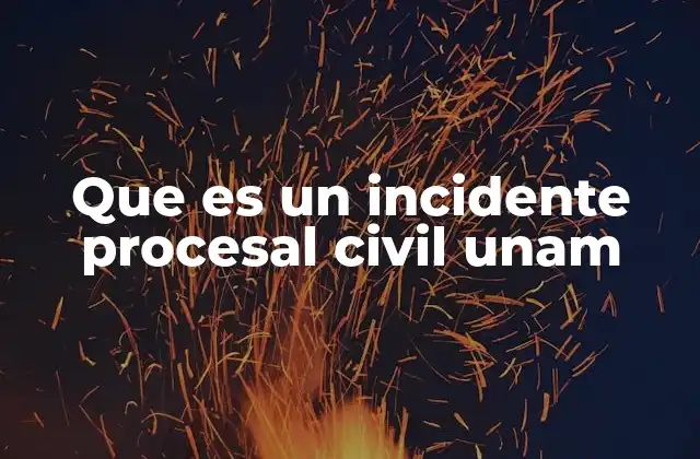 Que es un Incidente Procesal Civil Unam
