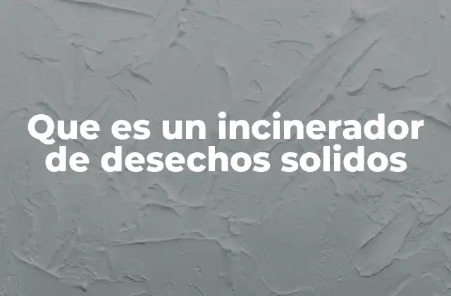 Que es un Incinerador de Desechos Solidos