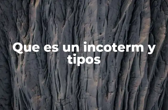 Que es un Incoterm y Tipos