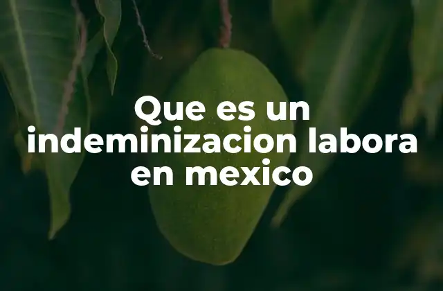Que es un Indeminizacion Labora en Mexico
