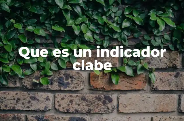Que es un Indicador Clabe