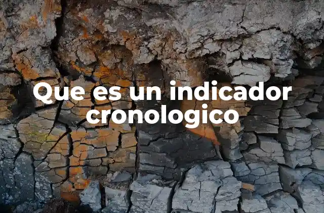 Que es un Indicador Cronologico