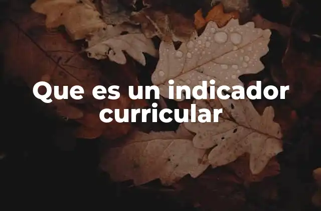 Que es un Indicador Curricular