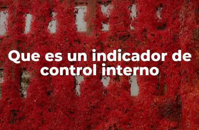 Que es un Indicador de Control Interno