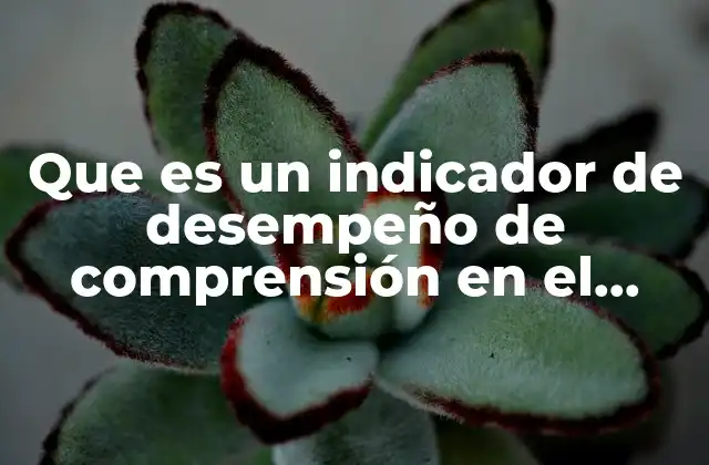 Que es un Indicador de Desempeño de Comprensión en el Trabajo
