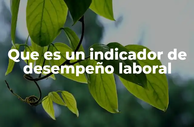 Que es un Indicador de Desempeño Laboral
