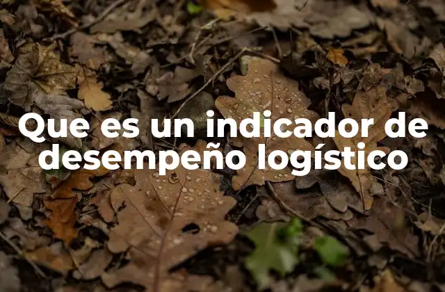 Que es un Indicador de Desempeño Logístico