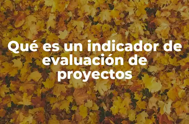 Qué es un Indicador de Evaluación de Proyectos