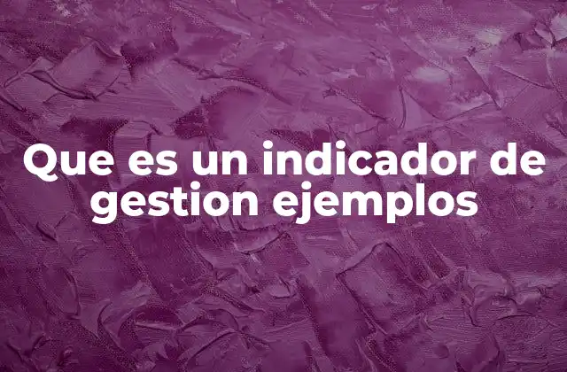 Que es un Indicador de Gestion Ejemplos