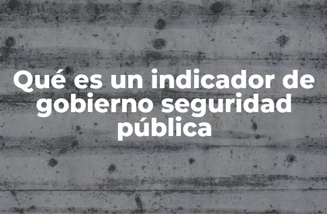 Qué es un Indicador de Gobierno Seguridad Pública
