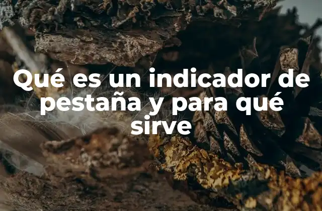 Qué es un Indicador de Pestaña y para Qué Sirve