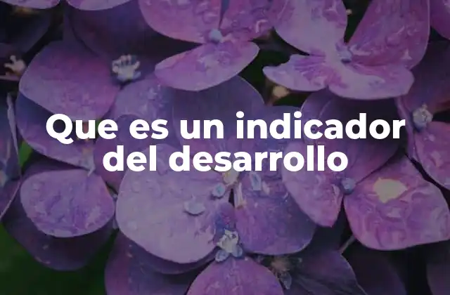 Que es un Indicador Del Desarrollo