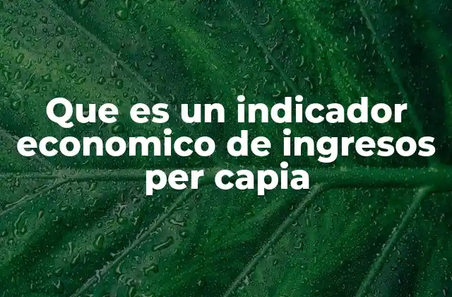 Que es un Indicador Economico de Ingresos Per Capia 2 La importancia del ingreso per cápita en el análisis económico