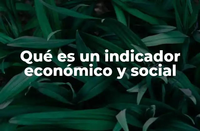 Qué es un Indicador Económico y Social