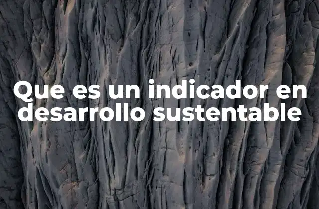 Que es un Indicador en Desarrollo Sustentable 2 La relevancia de las métricas en la planificación social y ambiental