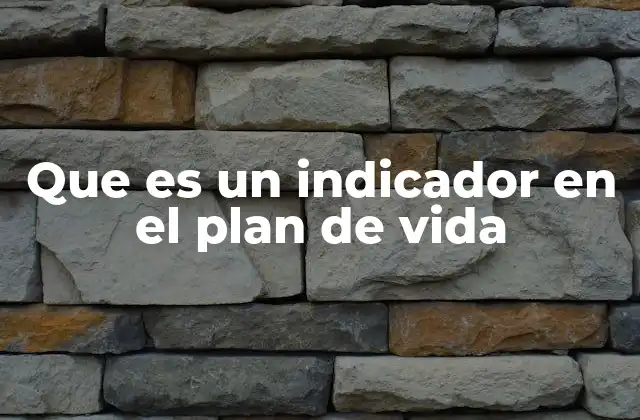 Que es un Indicador en el Plan de Vida
