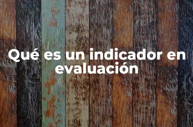 Qué es un Indicador en Evaluación