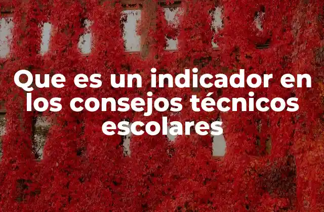 Que es un Indicador en los Consejos Técnicos Escolares