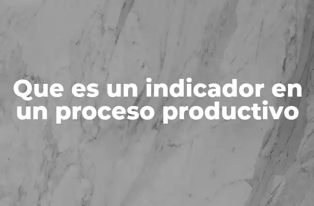 Que es un Indicador en un Proceso Productivo