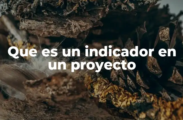 Que es un Indicador en un Proyecto