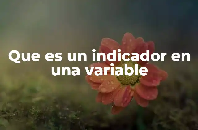 Que es un Indicador en una Variable