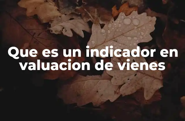 Que es un Indicador en Valuacion de Vienes