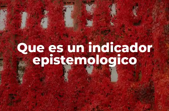 Que es un Indicador Epistemologico