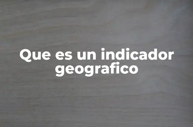 Que es un Indicador Geografico