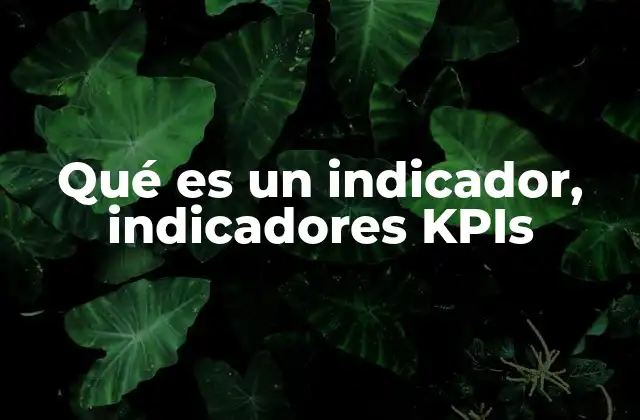 Qué es un Indicador, Indicadores Kpis
