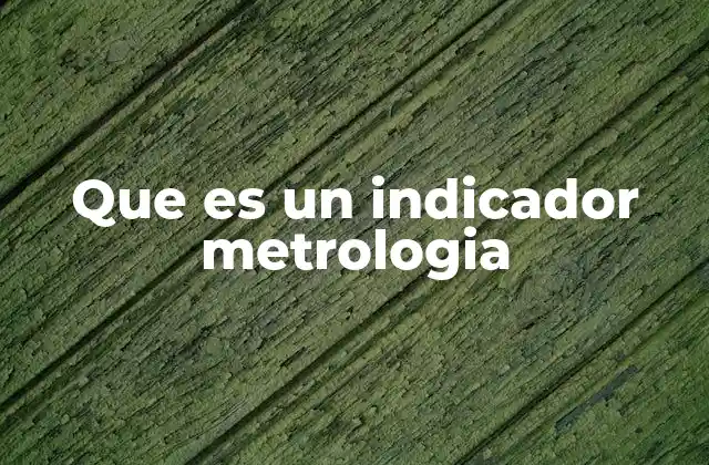 Que es un Indicador Metrologia